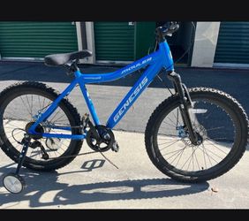 Genesis 24" mountain bike