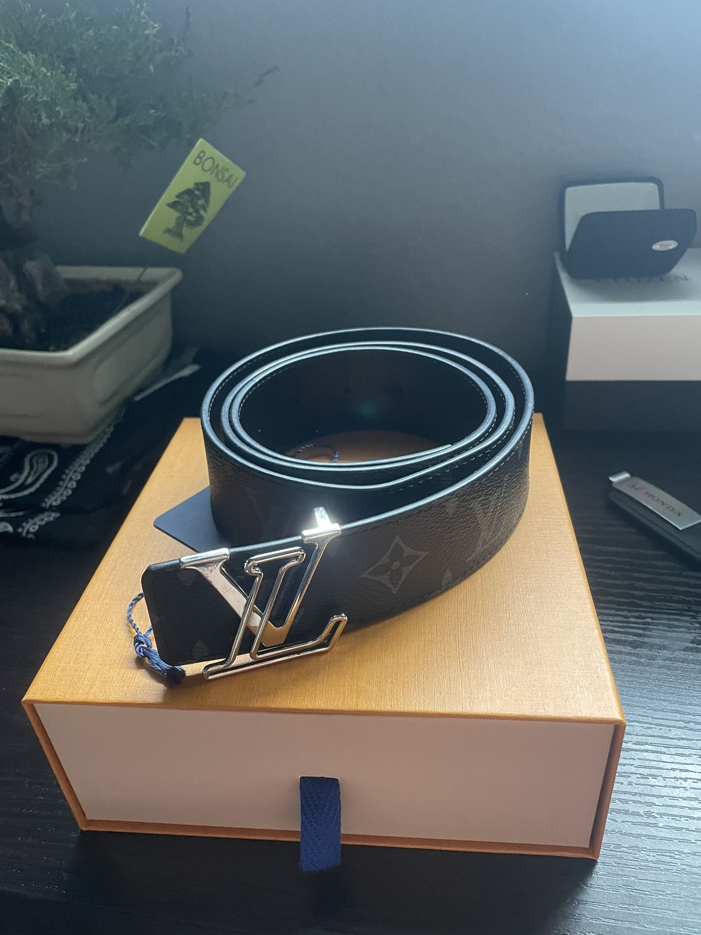 Luis Vuitton Belt
