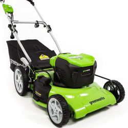 Greenworks 13 Amp 21" Corded Electric Walk-Behind Push Lawn