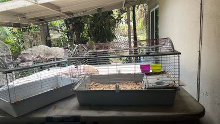 Animal cages new