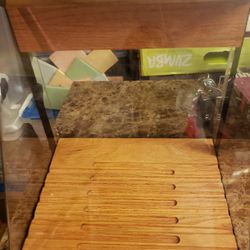 Jewelry Display Case