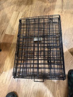 Petco Dog Crate