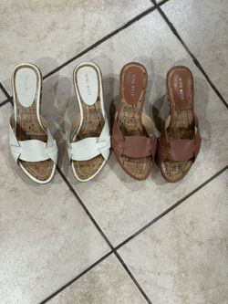 Sizes 7M
