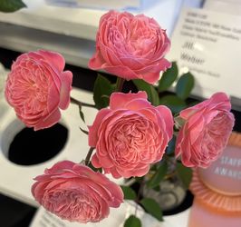 West Long Beach Coach New And New Wo Tags