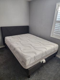 Queen Bed