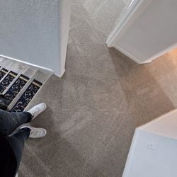Brand New Carpet For Sale 