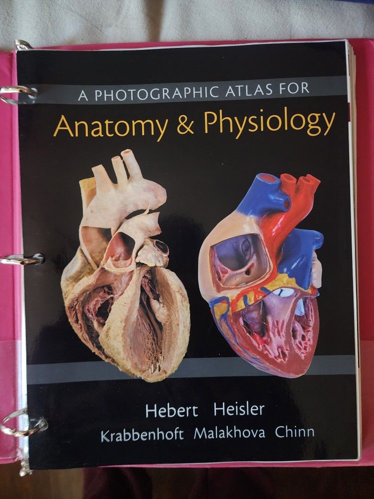 A Photographic Atlas For Anatomy & Physiology 