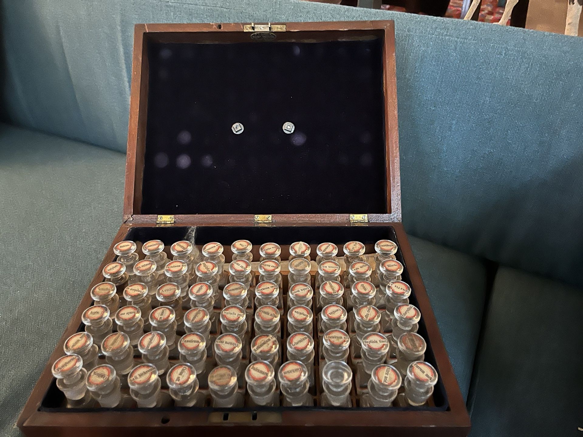 Antique Homeopathic Apothecary Medicine Chest