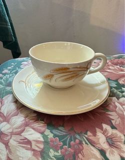 Vintage Ceramic Tea Cup and Saucer Set