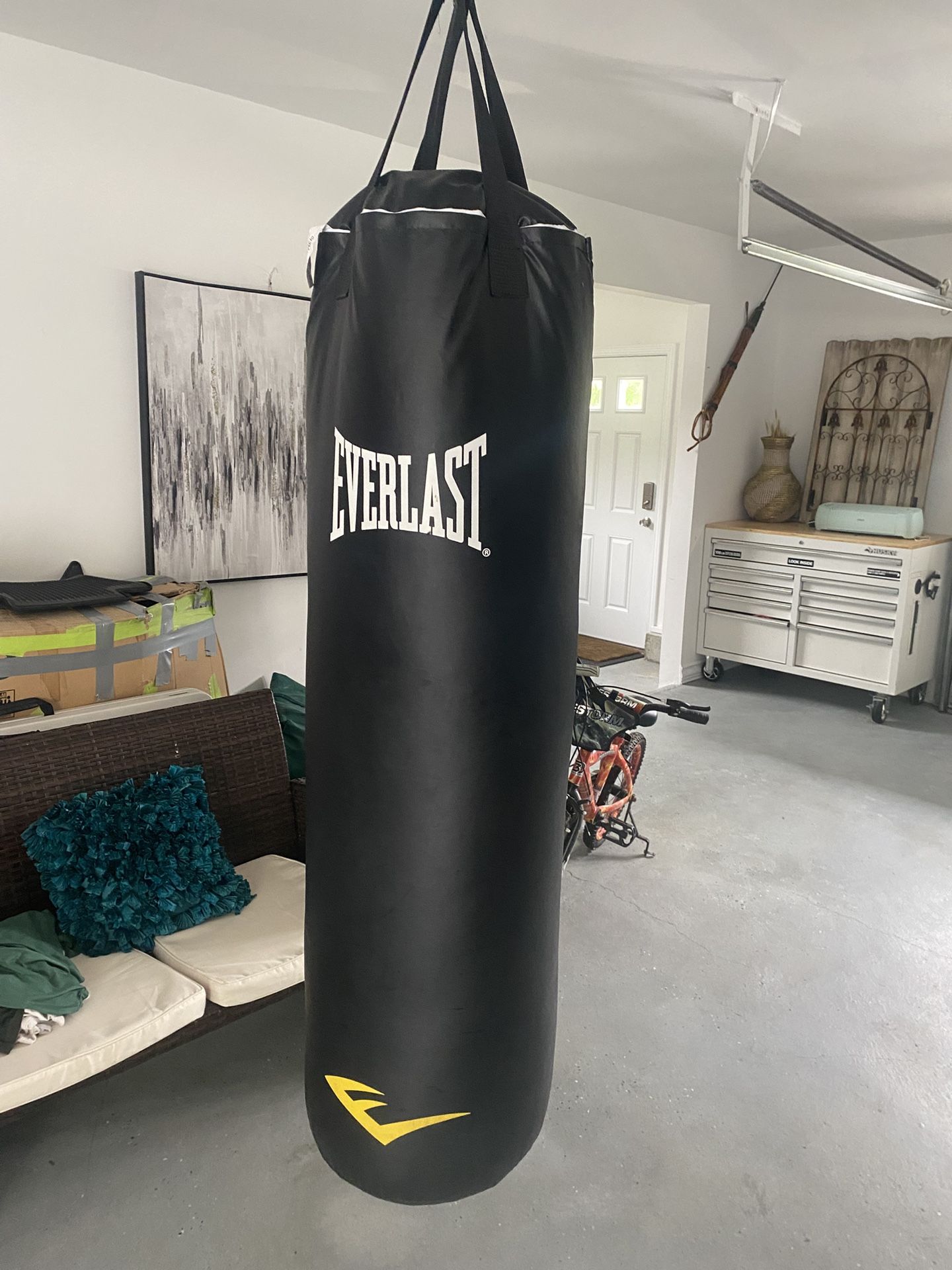 punching bag (with gloves)