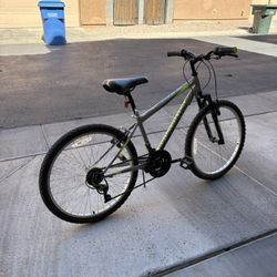 Roadmaster Bike 