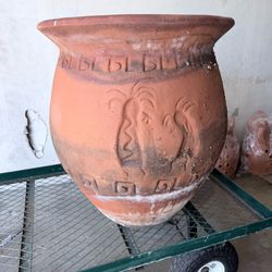 FREE Terracotta planter 28 Gallons