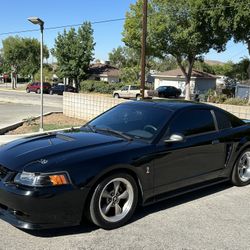 1999 Ford Mustang