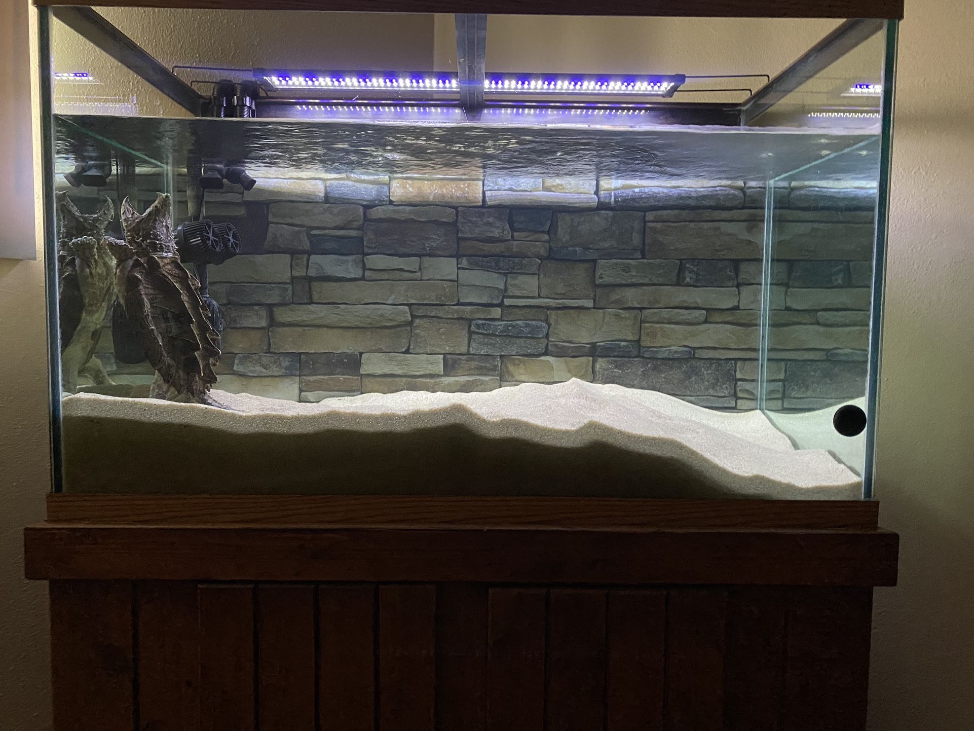 Aquarium For Sale