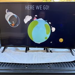 LG 49 inch TV (rarely used)