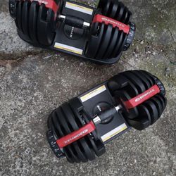 Bowflex Dumbells 5-52 