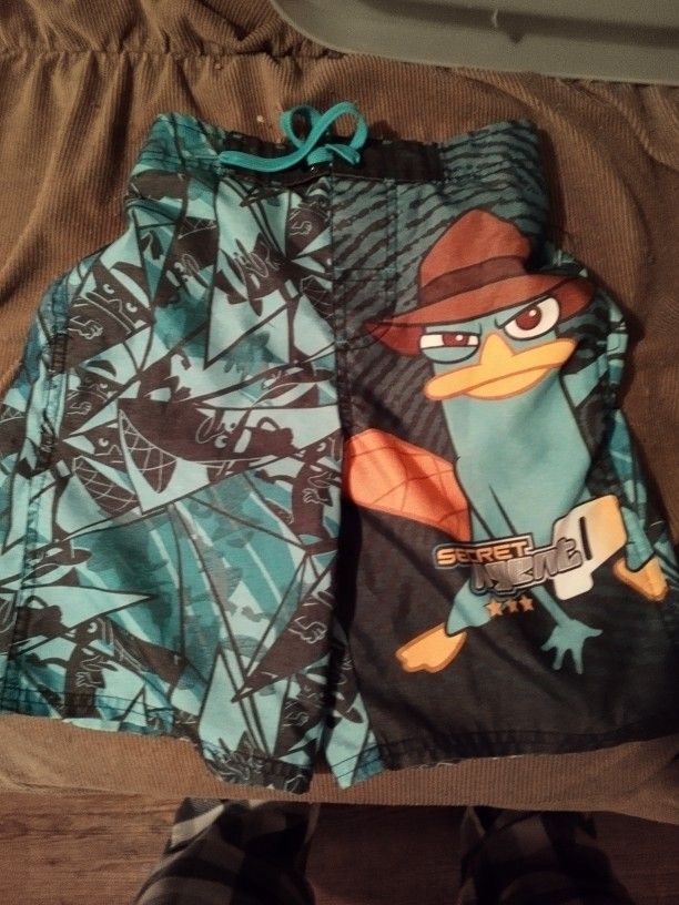Swimming Trunks