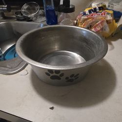 Dog Bowl 