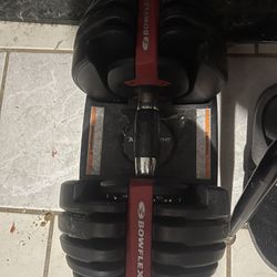 Two Dumbbells From Bowflex