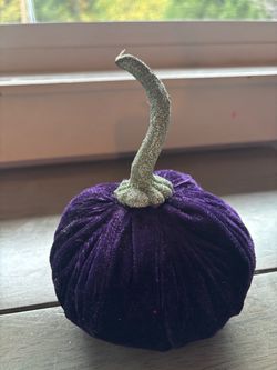 Pretty velvet Pumpkin w/ glittery stem - like new!