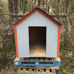 Dog House/Casa De Perro 🐶 