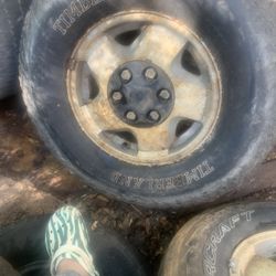 Trail Blazer Wheels