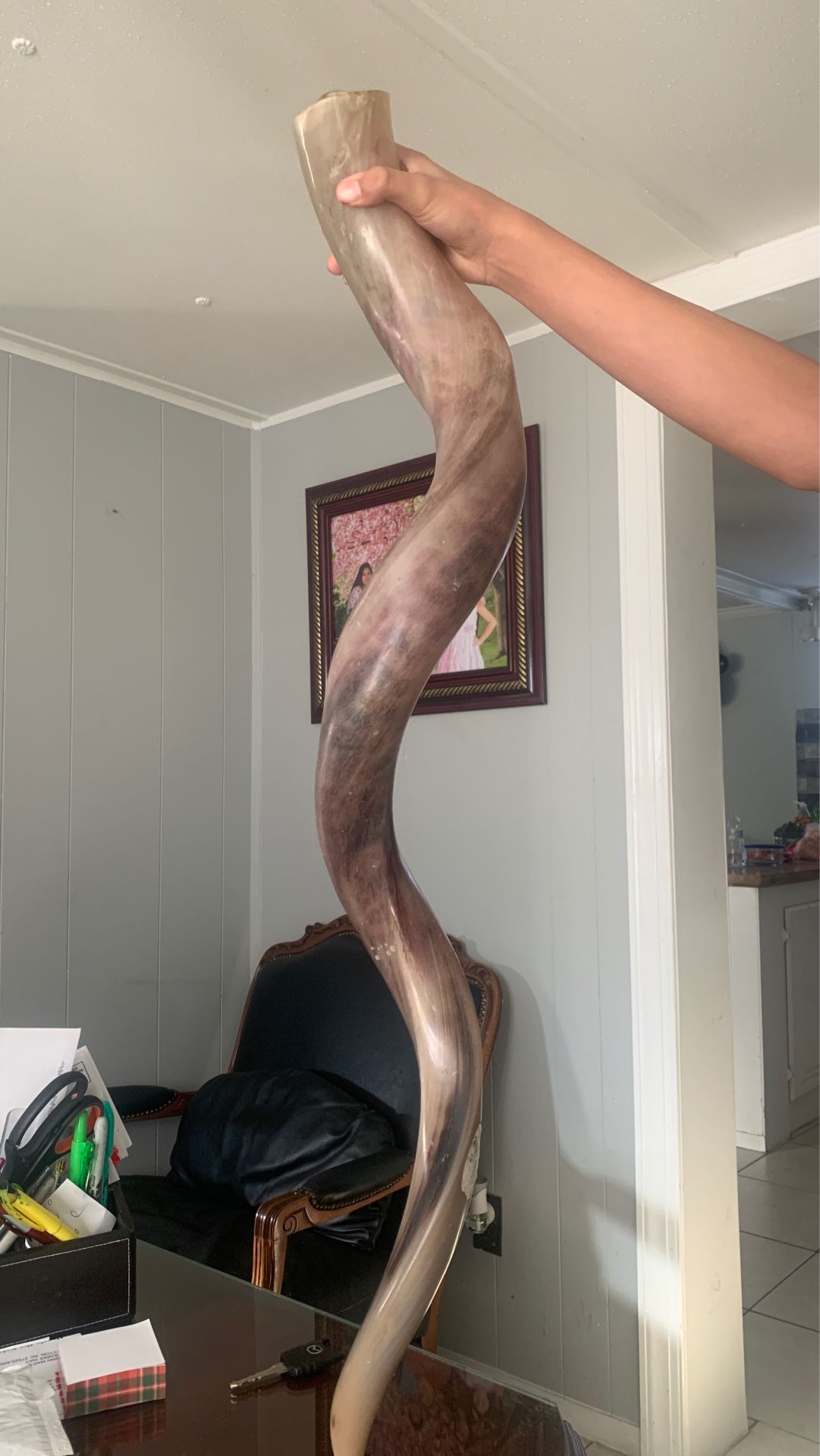 Vendo shofar 32 pulgadas de alto $$300.00