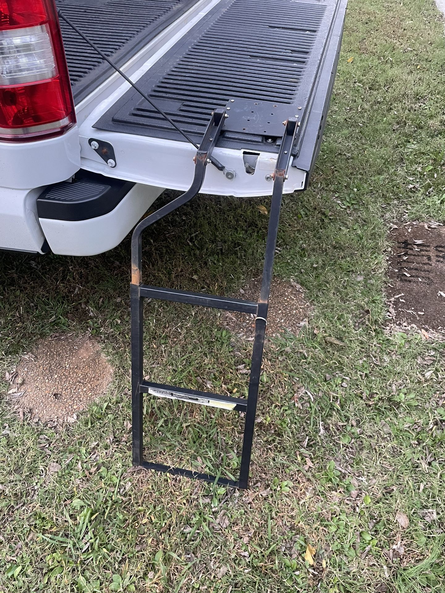 Tailgate Ladder