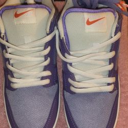 Nike Dunk Low Sb Size 10 New 