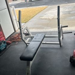 Bench Press Weights 