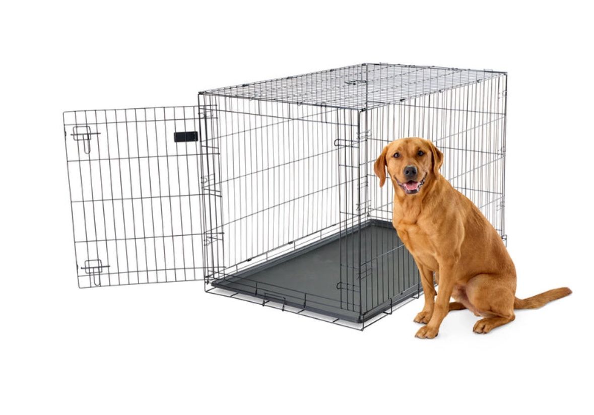 XL Foldable Single Door Dog Crate
