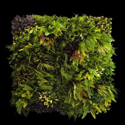 Eden B Foliage Panel