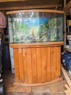 38-Gallon Bowfront Aquarium With Stand