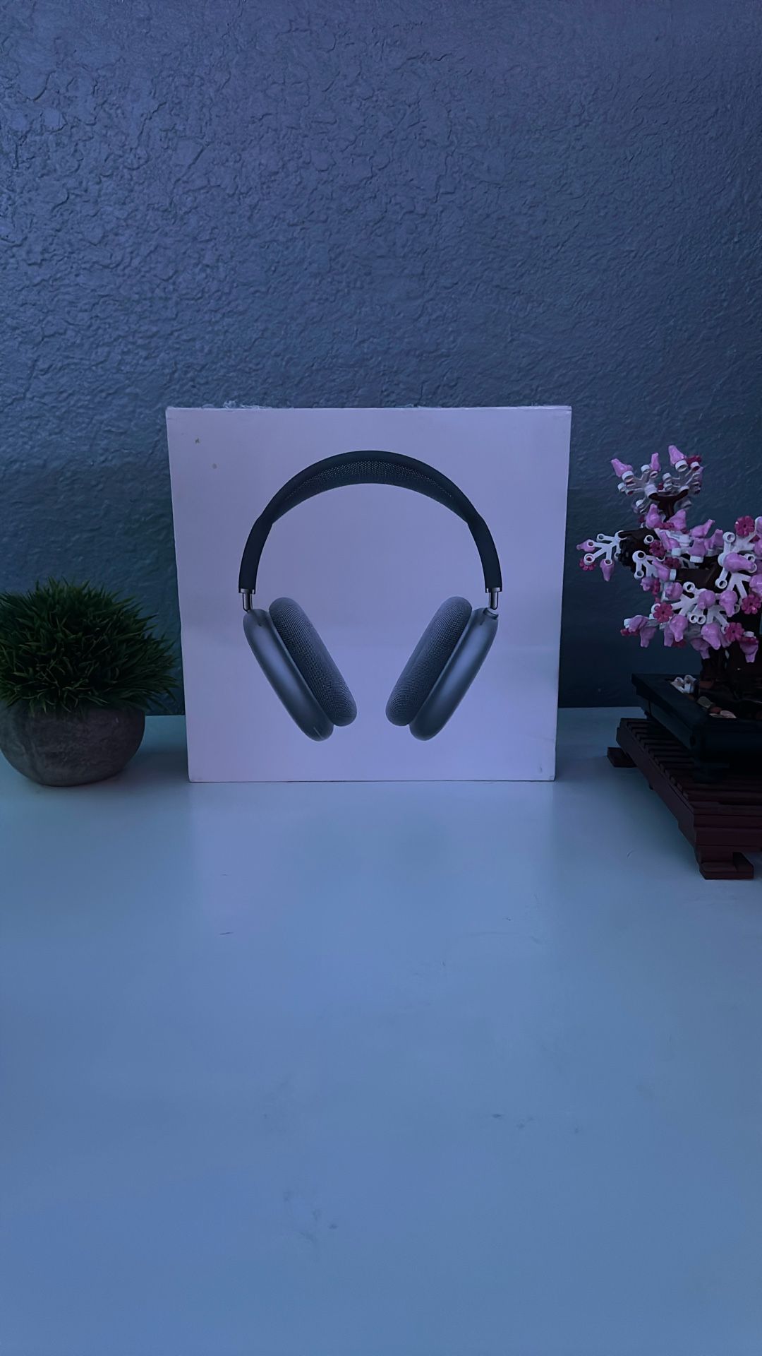 Apple Airpod Maxes