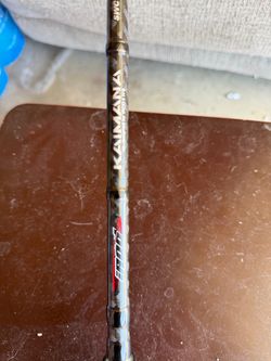 Irod coastal spinning rod 7’3 mh