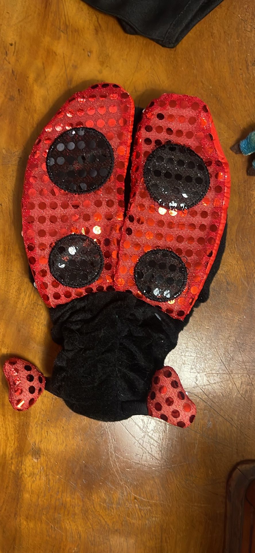 Pet Costume- New, Never Worn. Lady Bug! Red And Black Sparkly 