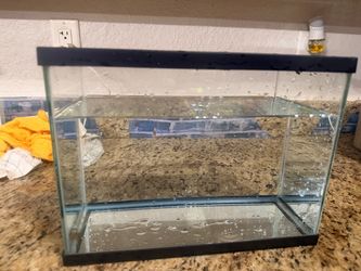 5.5 Gallon Betta Tank