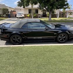 2000 Ford Mustang Cash, Or Trade