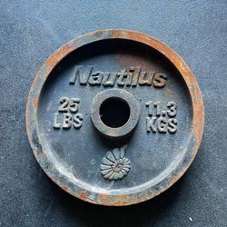 Single 25 lbs Nautilus Olympic Weight Plate… Home Gym Fitness… $20 Price is Firm!