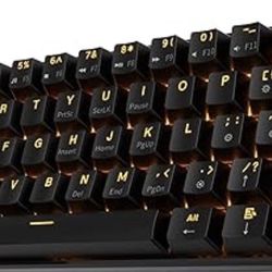 RK ROYAL KLUDGE RK61 Wireless 60% Triple Mode Mechanical Keyboard, 61 Keys Bluetooth Mechanical Keyboard, Compact Gaming Keyboard with Programmable So