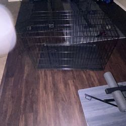 Dog Kennels 