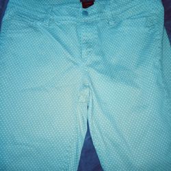 Ann Taylor Ladies Pants 