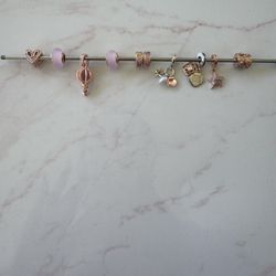 Pandora Charms 