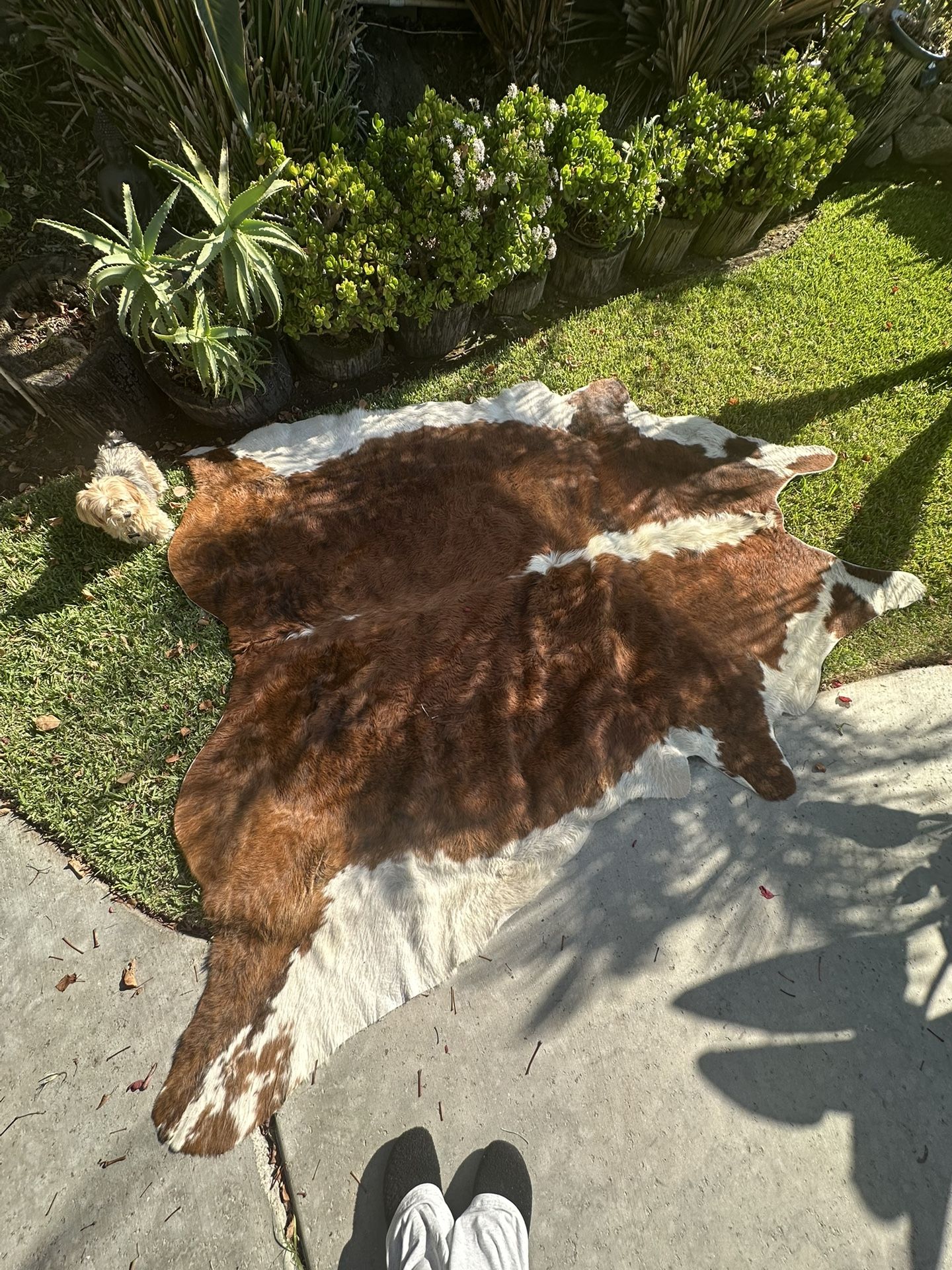 Real Cow Hide Rug