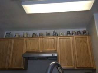 Beer Steins For Sale