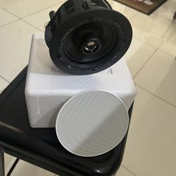Disappearing In-Wall Speaker  DI 4.5R