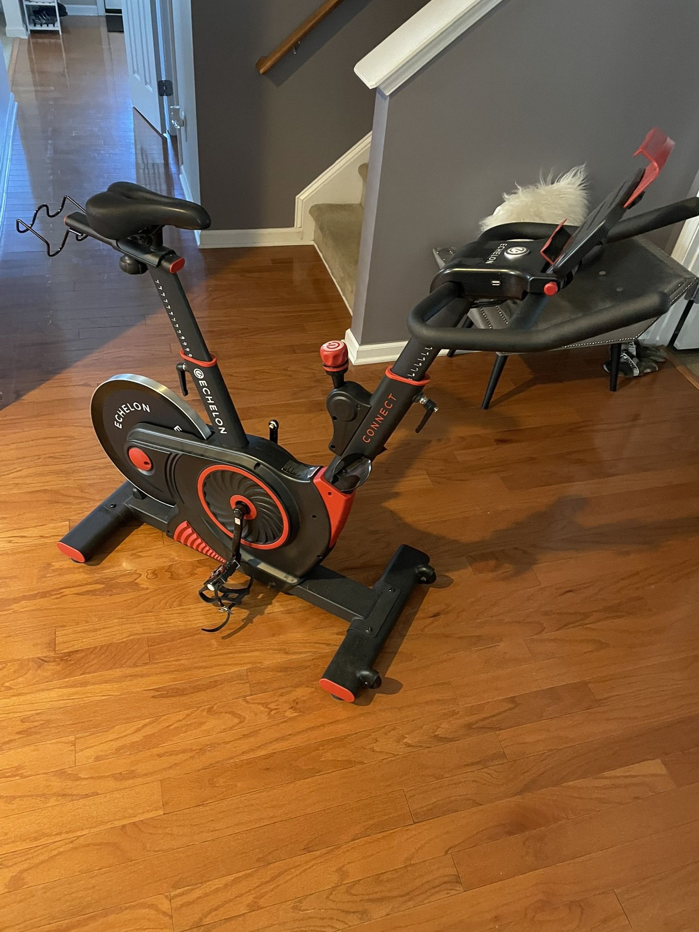ECHELON SPIN BIKE