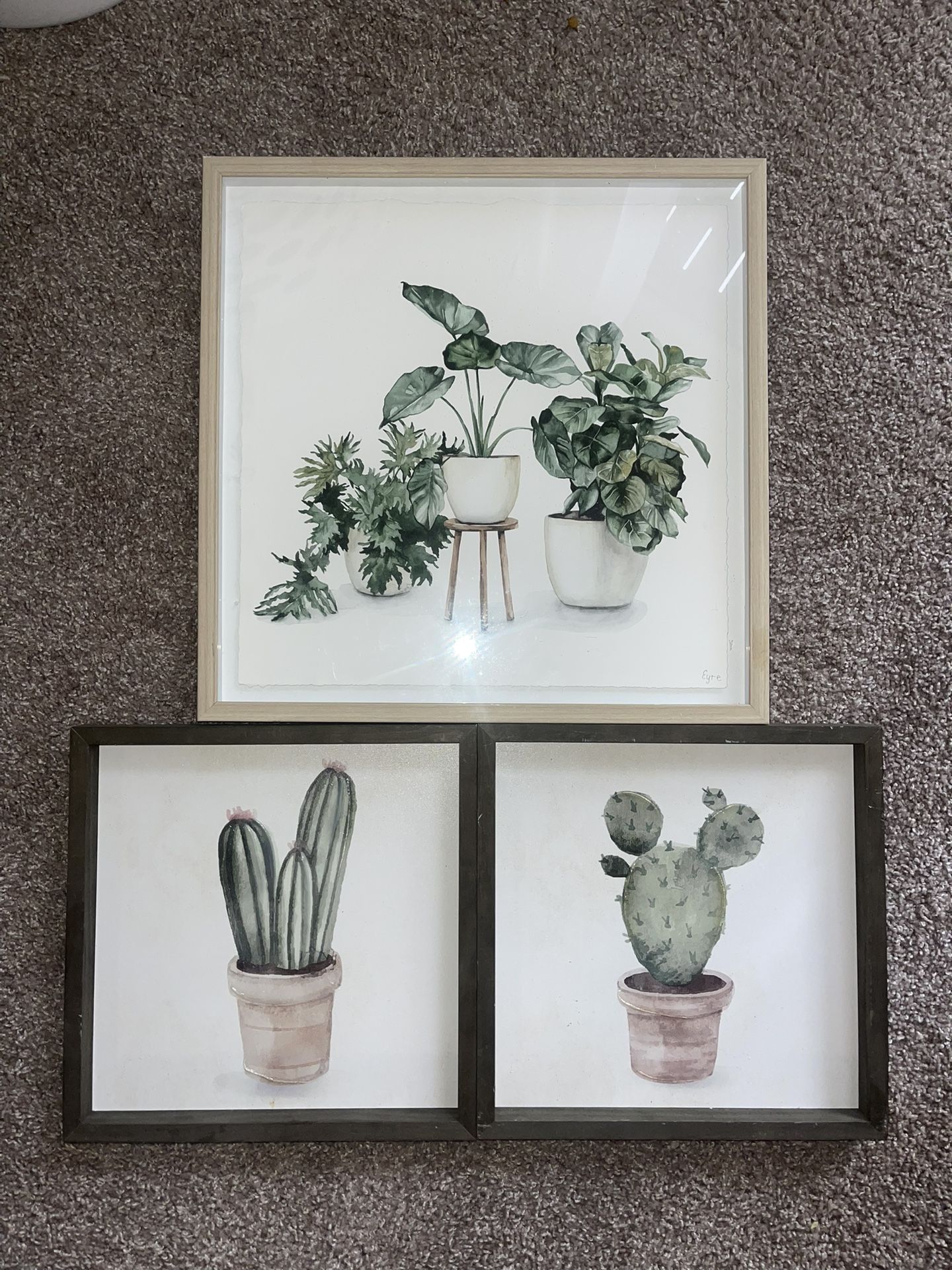 Set Of 3: Cactus/ Plant Paintings/ Artwork