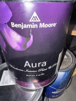 1 Gal Aura Paint AF-35