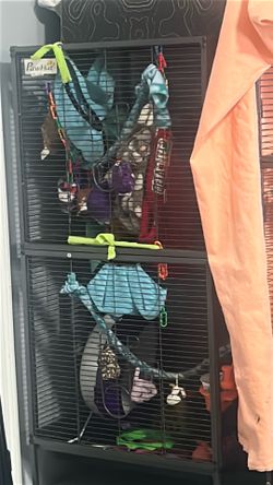 Sugargliders